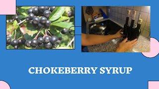 How to Make Chokeberry Syrup ¦¦ Aronia Berry Syrup [upl. by Haelat]