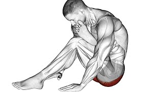 The 12 Best Mobility Exercises for Better Movement [upl. by Kapor34]