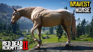 Top 4 BRAVEST Horse You Must OWN Location amp Rankings  RDR 2 [upl. by Lennard]