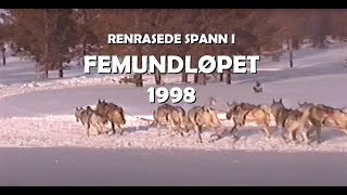 1998  Renrasede spann i Femundløpet [upl. by Anyahc]