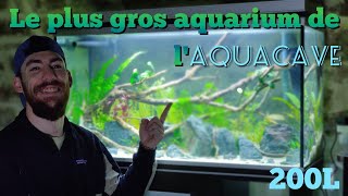 Un abonné ma donné un énorme aquarium [upl. by Margaretta]