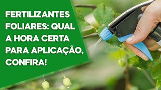 FERTILIZANTES FOLIARES QUAL A HORA CERTA PARA APLICAÇÃO CONFIRA [upl. by Capps758]