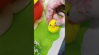 P3Lần đầu tiên Chon đuổi khách 😱 chonchon banhsinhnhat cakedecor youtubeshorts banhkempuca [upl. by Warfeld]