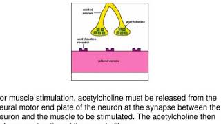 exotoxins cytotoxins neurotoxins enterotoxins enterotoxins [upl. by Ilyak170]