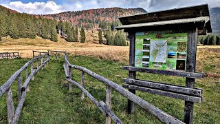 Pian del Cansiglio Torbiera a Piano di Valmenera BL [upl. by Felicie789]