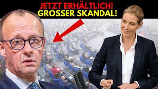 JETZT ERHÄLTLICH Die Forschung bricht Merz einfach das Genick [upl. by Cosette]