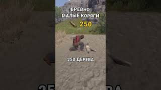 СКОЛЬКО РЕСУРСА С КАЖДОГО ДЕРЕВА в RUST  РАСТ [upl. by Allyce]