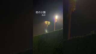 夜の公園 park night soccer practice morioka greenassassindollar [upl. by Hsirap]