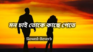 mon chai toke kache phete SlowedReverb Sad song Bangla lofi song [upl. by Higinbotham]