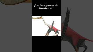 ¿Quien fue el pterosaurio Pterodaustro shorts dinosaurios jurassicworld paleontologia [upl. by Greenburg]