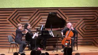 Brahms piano trio c min Op 101 [upl. by Wolfe]