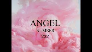 Angel Number 222 Attunement  Soulmate Love  Omniminal [upl. by Aennyl]