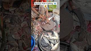 Surmai Fish Cutting shortvideo seafood food fish indianstreetfood [upl. by Higginbotham]