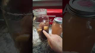 How to make Apple Cider Vinegar from Apple Scrapes [upl. by Htederem]