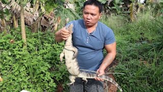 MUKBANG EXTREME LAGI KITAMASAK BIAWAK PALING ENAK [upl. by Yoong]