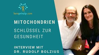 Mitochondrien als Schlüssel zur Gesundheit  Interview mit Dr Rudolf Bolzius quotMitochondrien Docquot [upl. by Weywadt]