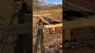 Getting some new wood on an old hay wagon sawmill lumber farming hay milling pastureraised [upl. by Artenak]