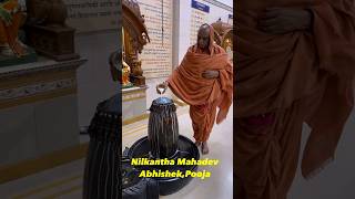 Mahadev No Abhishek  મહાદેવજી નો અભિષેક [upl. by Ahsurej]