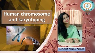 Chromosome and Karyotyping  Concept of karyotype  karyotype analysis  karyotyping  NEET  BSc [upl. by Mavis]