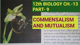 Class 12 biology chapter 12 part 9Commensalism amp mutualismStudy with Farru [upl. by Nnaeilsel]