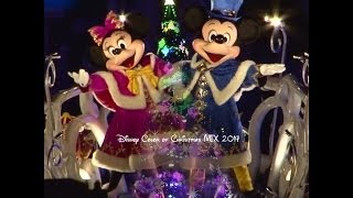 ★★ｶﾗｰ･ｵﾌﾞ･ｸﾘｽﾏｽMIX 2013 【編集版】東京ﾃﾞｨｽﾞﾆｰｼｰ [upl. by Blen991]