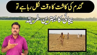 The best method for wheat seed sowing  Dry sowing drill method for wheat seed  Abid Ali Agrarian [upl. by Eisak]