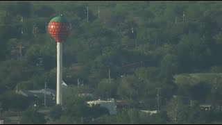 POTEET STRAWBERRY FESTIVAL [upl. by Idelson]