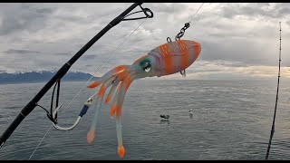 Kaikoura fishing trip [upl. by Naejarual]