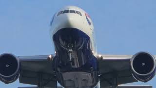 Heathrow airport landing ✈️ everyone heathrowplanespotting heathrow [upl. by Abeh]