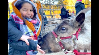 WE HELPED FEED SANTAS REINDEERS [upl. by Eecyal670]