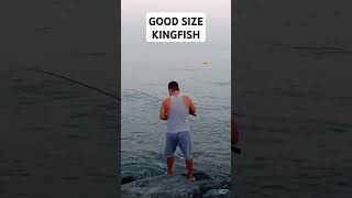 ANOTHER GOOD SIZE KINGFISH [upl. by Otreblide]