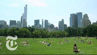 36 Hours in Central Park New York  The New York Times [upl. by Haelem102]