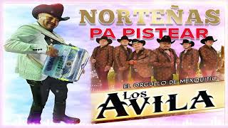 Puras Norteñas Para Pistear Mix 2024 🧡 Los Avila Sus 20 Mejores Canciones 2024 🧡Norteñas Pa Bailar🧡 [upl. by Felice]