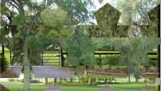 Peaceful County Living With 5 Acres  Priced To Sell Ocala FL [upl. by Bowles518]