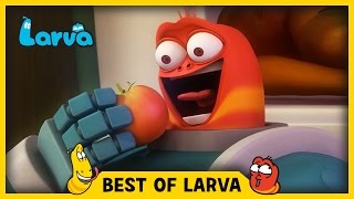 Larva Tuba 20224 Food Shaping  Cartoon Movies Top 50 Episode Mini Series From Animation Larva [upl. by Nerrej]