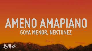 AMENO AMAPIANO OFFICIAL VIDEO [upl. by Infield875]