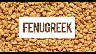 Fenugreek and Testosterone Galactagogues Increase Prolactin Levels [upl. by Ariajaj975]