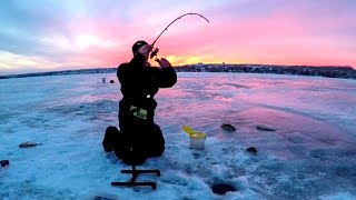 Ice Fishing For EVERYTHING That Bites [upl. by Latoya]