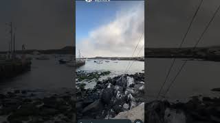 sea galapagostravel galapagos naturalezamarina nature love shortvideo viralvideo suscribete [upl. by Ahsya]