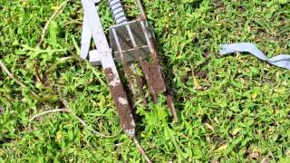 Mole trap that works [upl. by Maccarone]