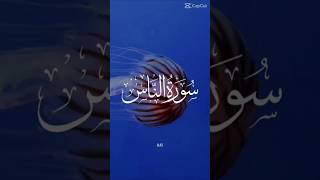 Surah Naas  Naas   Soothing Quran Recitation for Relaxation ll Quran Calmness allah quran [upl. by Mabelle]