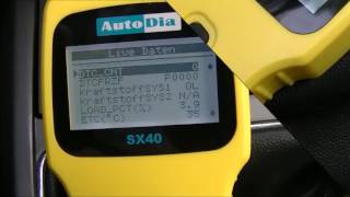 OBD II Auto DiagnoseFehler löschen Einfach und Preiswert [upl. by Dulce694]