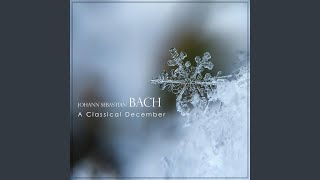 JS Bach Concerto in D Minor BWV 974  for HarpsichordArranged by Bach from Oboe Concerto [upl. by Larkin369]