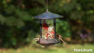 Cardinal Solar Bird Feeder SKU 59F96  Plow amp Hearth [upl. by Manouch]