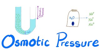 Osmotic Pressure  Osmosis  Colligative property  Physiology Series [upl. by Hunley]