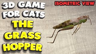 3D game for cats  CATCH THE GRASSHOPPER isometric view  4K 60 fps stereo sound [upl. by Niliac]