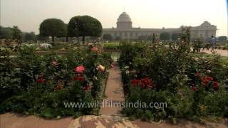 Mughal Gardens A place scenic beauty [upl. by Harbison143]