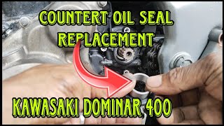 COUNTER SHAFT OIL SEAL REPLACEMENT FOR KAWASAKI DOMINAR 400 [upl. by Pardoes850]