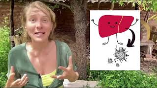 Chlorella Detox Safe or Dangerous Watch This Before You Try [upl. by Etnuahs]