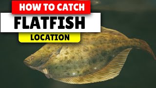 Assassins Creed Valhalla How to find flatfish  Best Location [upl. by Ciapas]